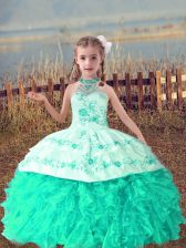 Pretty Floor Length Ball Gowns Sleeveless Turquoise Little Girl Pageant Gowns Lace Up