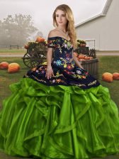 Wonderful Green Organza Lace Up 15 Quinceanera Dress Sleeveless Floor Length Embroidery and Ruffles