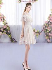 High Quality Champagne Empire Off The Shoulder Short Sleeves Lace Mini Length Lace Up Quinceanera Court of Honor Dress