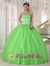 2013 Tlajomulco de Zuiga Mexico Spring Green Appliques Decorate Quinceanera Dress With Strapless Taffeta and Tulle Ball Gown Style PDZY596FOR