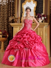 Altamira Mexico Hot Pink Quinceanera Dress  Floor-length Ball Gown Appliques Embroidery And Pick-ups Decorate Style QDZY189FOR