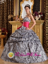 Atlixco Mexico Wholesale Zebra Sash Sweetheart 2013 A-line Floor-length Quinceanera Dress With Pick-ups Style QDZY211FOR 