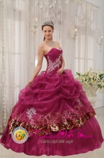 Buin Chile Popular Burgundy Quinceanera Sweetheart Organza and Leopard or zebra Appliques Ball Gown Dress Style QDZY398FOR