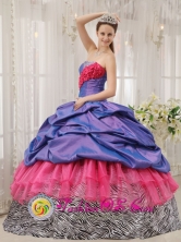 Mexicali Mexico Colorful Exclusive Quinceanera Dress With purple Taffeta and pink Organza and Zebra Pick-ups in Summer Style QDZY441FOR