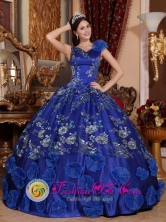 Navojoa Mexico Wholesale V-neck Satin Refined Appliques Decorate Exquisite Blue Quinceanera Dresses For Spring Style QDZY746FOR 