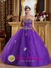 Nicolas Romero Mexico  Purple New Sweetheart Quinceanera Dress For 2013  Appliques Decorate Bodice Tulle Ball Gown Style QDZY145FOR