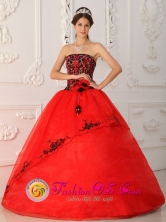 Red Quinceanera Dress Strapless Brand New Style Satin and Organza Ball Gown For 2013 Fall in Tapachula Mexico Style QDZY288FOR