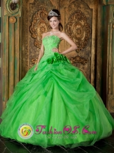 San Bernardo Chile Spring Green Hand Made Flowers Appliques Decorate Fabulous Quinceanera Dress For 2013 Style QDZY196FOR