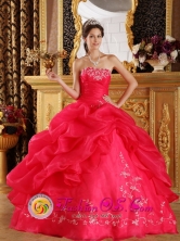 San Luis Rio Colorado Mexico Strapless Embeoidery Decorate 2013 New Arrival Coral Red Sweet 16 Quinceanera Dress Style QDZY043FOR
