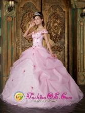 Tijuana Mexico Romantic Pink Off The Shoulder Organza Quinceanera Dress With Colorful Flowers in Spring Style QDZY220FOR