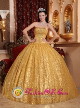 Gold Paillette Wholesale Ball Gown and Appliques Strapless Bodice For 2013 Quinceanera In Pilar Paraguay  Style QDZY045FOR 