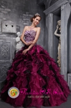 Leopord and Deaded Decorate Wholesale Bodice Ruffles Wild Fushsia Quinceanera Dress Custom Made for Quinceanera In Fuerte Olimpo Paraguay Style ZYLJ01FOR 