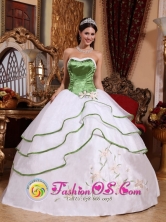Spring Green and White For Stylish Quinceanera Dress Strapless Organza Embroidery for Sweet 16 IN  Muy Muy Nicaragua  Style QDZY536FOR 