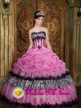 2013 Caxias do Sul Brazil Customer Made Rose Pink Zebra and Organza Picks-Up Quinceanera Dress Wear For Sweet 16 Style QDZY028FOR