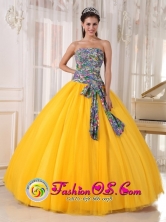 2013 Coatepeque Guatemala For Formal Evening Golden Yellow and Printing Quinceanera Dress Bowknot Tulle Ball Gown Style PDZY713FOR