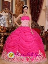 2013 Colombo Brazil Bodice Lovely Hot Pink Sweet Quinceanera Ball Gown Dress Strapless Organza Ball Gown Style QDZY501FOR
