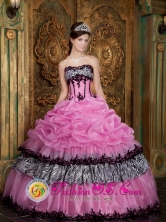 2013 Esquipulas Guatemala Customer Made Rose Pink Elegant Zebra and Organza Picks-Up Quinceanera Dress Wear For Sweet 16 Style QDZY028FOR