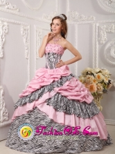 2013 Itaborai Brazil Pink Quinceanera Dress Taffeta and Zebra For Sweet 16 With Pick-ups Beading Ball Gown Style QDZY017FOR
