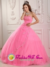 2013 Ponta Grossa Brazil Fabulous Rose Pink For Classical Sweet 16 Quinceaners Dress With Appliques Decorated Style QDZY148FOR
