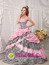 2013 Retalhuleu Guatemala Pink Quinceanera Dress Taffeta and Zebra For Sweet 16 With Pick-ups Beading Ball Gown Style QDZY017FOR