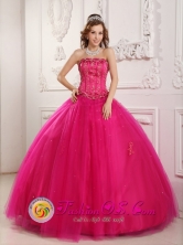 2013 San Cristobal Verapaz Guatemala Gorgeous strapless beaded Hot Pink Quinceanera Dress For formal Style QDZY140FOR