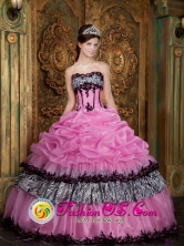 2013 San Francisco El Alto Guatemala  Customer Made Rose Pink Elegant Zebra and Organza Picks-Up Quinceanera Dress Wear For Sweet 16 Style QDZY028FOR