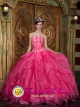 2013 Varzea Grande Brazil Hot Pink Quinceanera Dress with Strapless Organza Appliques Ruffled Ball Gown Style QDZY003FOR