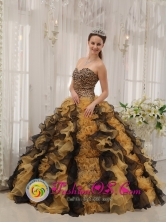 2013 Puerto Aisen Chile Custom Made Multi-color Zebra Ruffles Sweetheart Quinceaners Dress in Spring Style QDZY338FOR