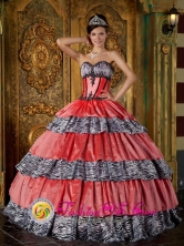 Osorno Chile Colorful Sweetheart With Zebra and Taffeta Ruffles Ball Gown For 2013 Quinceanera Dress Style QDZY261FOR