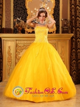 Peumo Chile Brand New Satin and Tulle 2013 Spaghetti Straps With Beaded Decorate Quinceanera Dress Style QDZY095FOR 