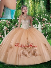 Pretty Ball Gown Beading and Appliques Quinceanera Dresses SJQDDT311002FOR