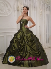 2013 Sardinata Colombia Exquisite Olive Green Quinceanera Dress With Deaded Decorate taffeta For Sweet 16 Quinceaners Style QDZY358FOR