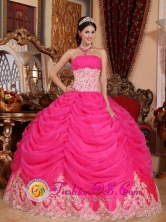 Isnos Colombia Beaded Decorate Bodice Lovely Hot Pink Sweet Quinceanera Ball Gown Dress Strapless Organza Ball Gown Style QDZY501FOR