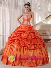 San Pedro Colombia Spring Rust Red WholesaleQuinceanera Dress With Pick-ups Sweetheart Taffeta Appliques Decorate  Style PDZYLJ009FOR