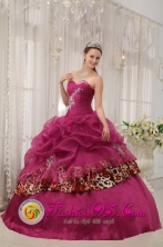 El Cope Panama Popular Burgundy Quinceanera Sweetheart Organza and Leopard or zebra Appliques Ball Gown Dress Style QDZY398FOR