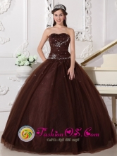 Potrero Grande Panama Brown Customer Made Rhinestones Decorate Bodice Modest Quinceanera Dress Sweetheart Tulle Ball Gown Style  QDZY306FOR