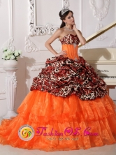 2013 Iquitos Peru Customer Made Sweetheart Neckline With Brush Leopard and Organza Appliques Decorate Quinceanera Dress In Phoenix Style QDZY333FOR