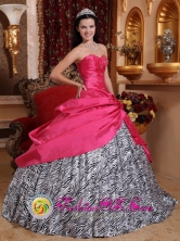 Casa Grande Peru Taffeta and Zebra For 2013 Quinceanera Dress With Beading and Hand Made Flowers Style QDZY367FOR