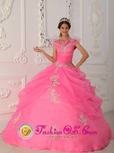 Ilo Peru Latest Rose Pink Quinceanera Dress Prescott Valley V-neck Taffeta and Organza Appliques With Beading Decorate Bodice Ball Gown For 2013 Spring Style QDZY267FOR