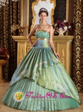 Appliques Discount Olive Green Wholesale 2013 Quinceanera Dress Strapless Taffeta and Organza Ball Gown For 2013 Quinceanera IN  Santa Lucia Uruguay Style QDZY280FOR