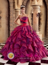 Customer Made Ruffles Decorate Bodice Brand New Multi-color 2013 Quinceanera Dress Strapless Organza Ball Gown in Dolores Uruguay  Wholesale Style QDZY259FOR