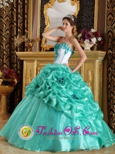 With Hand Made Flower Sweetheart Discount Turquoise Quinceanera Dress In 2013 Quinceanera Spring Party IN  Melo Uruguay Style QDZY236FOR