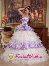 Bocas del Toro Panama Customize Exquisite Hand Made Flowers Elegant Organza and Printing Quinceanera Dress For 2013  Quinceanera wholesale Style QDZY426FOR