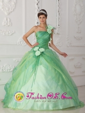 2013 One Shoulder Hand Made Flowers Decorate and Waist Apple Green Organza In Alabama Maimon Dominican Style QDZY446FOR
