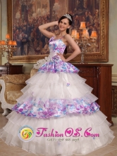 Customize Exquisite Hand Made Flowers Elegant Organza and Printing Quinceanera Dress For 2013  Quinceanera San Cristobal Dominican Style QDZY426FOR  