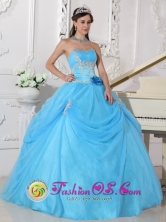 Fashionable Aqua Blue Quinceanera Ball Gown Dress With Strapless Neckline Flowers Decorate On Organza InSan Jose Costa Rica Style QDZY556FOR
