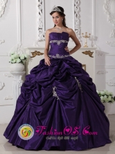 Chimbote Peru Wear The Super Hot Purple Exquisite Appliques Decorate wholesale Quinceanera Dress In 2013 Quinceanera Style QDZY610FOR