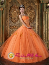 Quillabamba Peru  Sweetheart  Orange 2013 wholesale Quinceanera Dress Appliques Floor-length Organza Ball Gown Style QDZY188FOR
