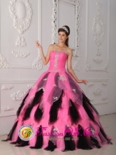 Customer Made Beautiful Pink and Black Princess Quinceanera Dress For 2013 Caguas Puerto Rico Spring Wholesale Style QDZY262FOR