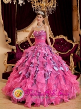 Hot Pink Sweetheart Neckline 2013 Naguabo Puerto Rico Quinceanera Dress With Leopard and Organza Ruffled Skirt Wholesale Style QDZY128FOR